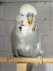 Участник №80 фото