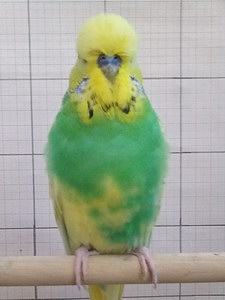 Участник №81 фото