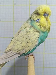 Участник №82 фото