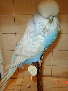 Участник №83 фото