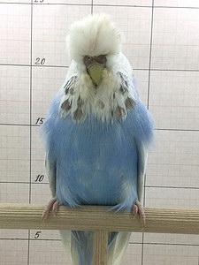 Участник №84 фото