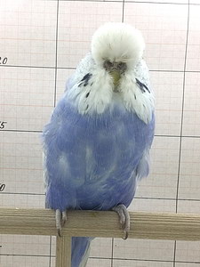 Участник №85 фото