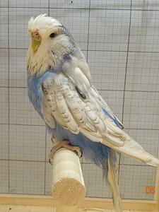 Участник №86 фото