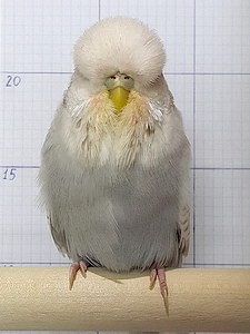 Участник №87 фото