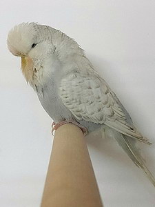 Участник №87 фото