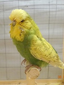 Участник №88 фото