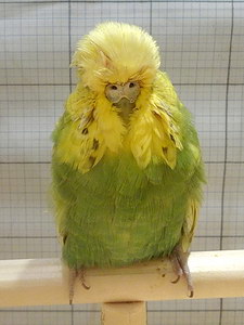 Участник №88 фото