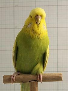 Участник №89 фото