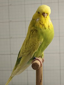 Участник №89 фото