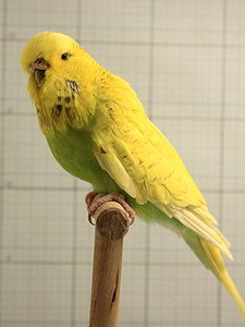 Участник №90 фото