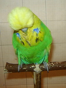 Участник №91 фото