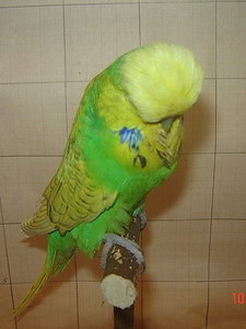 Участник №91 фото