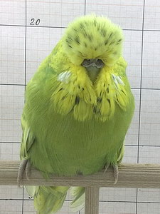 Участник №92 фото