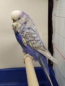 Участник №93 фото