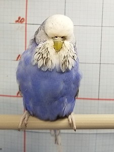 Участник №93 фото