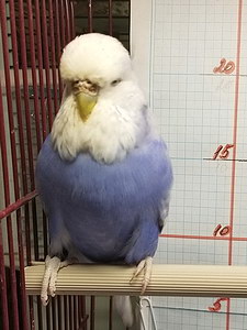 Участник №94 фото