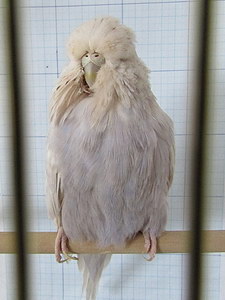 Участник №95 фото