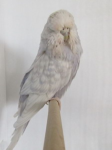 Участник №95 фото