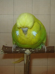 Участник №98 фото