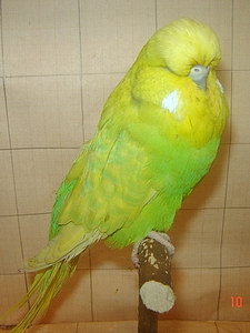 Участник №98 фото