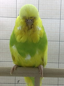 Участник №99 фото