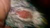 IMG-20190111-WA0003.jpeg