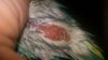 IMG-20190111-WA0001.jpeg