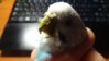 DSC02132.JPG