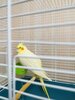 20201218_092700.jpg