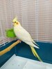 20201218_092750.jpg