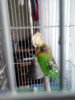 2016-03-14 16.43.11.jpg