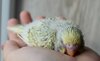 DSC_5493.JPG