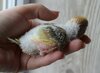 DSC_5497.JPG