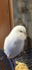 22BD6A0E-1F86-482A-B5D8-C11F6FC53B33.png