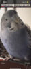 90CCF8C3-F2C3-41A7-B662-E95B4FD866E6.png