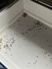 7977C8F7-299B-4975-A7F6-C6C35406EAFD.jpeg