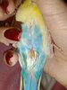 IMG_20240224_010437_142.jpg