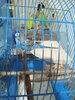 IMG_20241029_230215_801.jpg