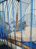 IMG_20241029_231309_139.jpg