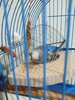 IMG_20241029_230857_438.jpg