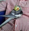 ZWvaz3wEk5U-MmOYAqlX1-SsH_RxmHiNGRtESYQ7AkGhBa7pz2x1hJAUzYh2K9gcwYK8YD01kTletFPxwYg70dCN.jpg
