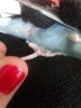 20160712_150000.jpg