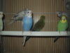 DSC07026.JPG