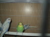 DSC07044.JPG