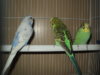DSC07363.JPG